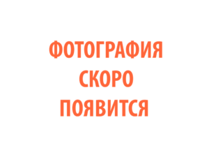 Фото 80 - Горелка PRO MS 36.